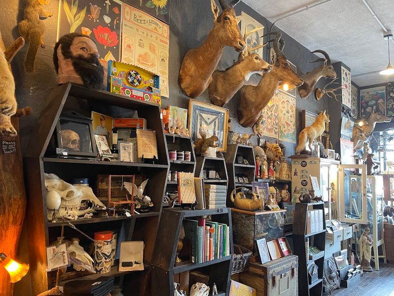 Items That Span History, Science, and the Genuinely Eerie