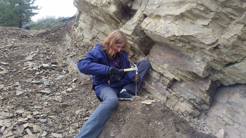 Staff Who Turn Rocks Into Stories Staff Who Turn Rocks Into Stories