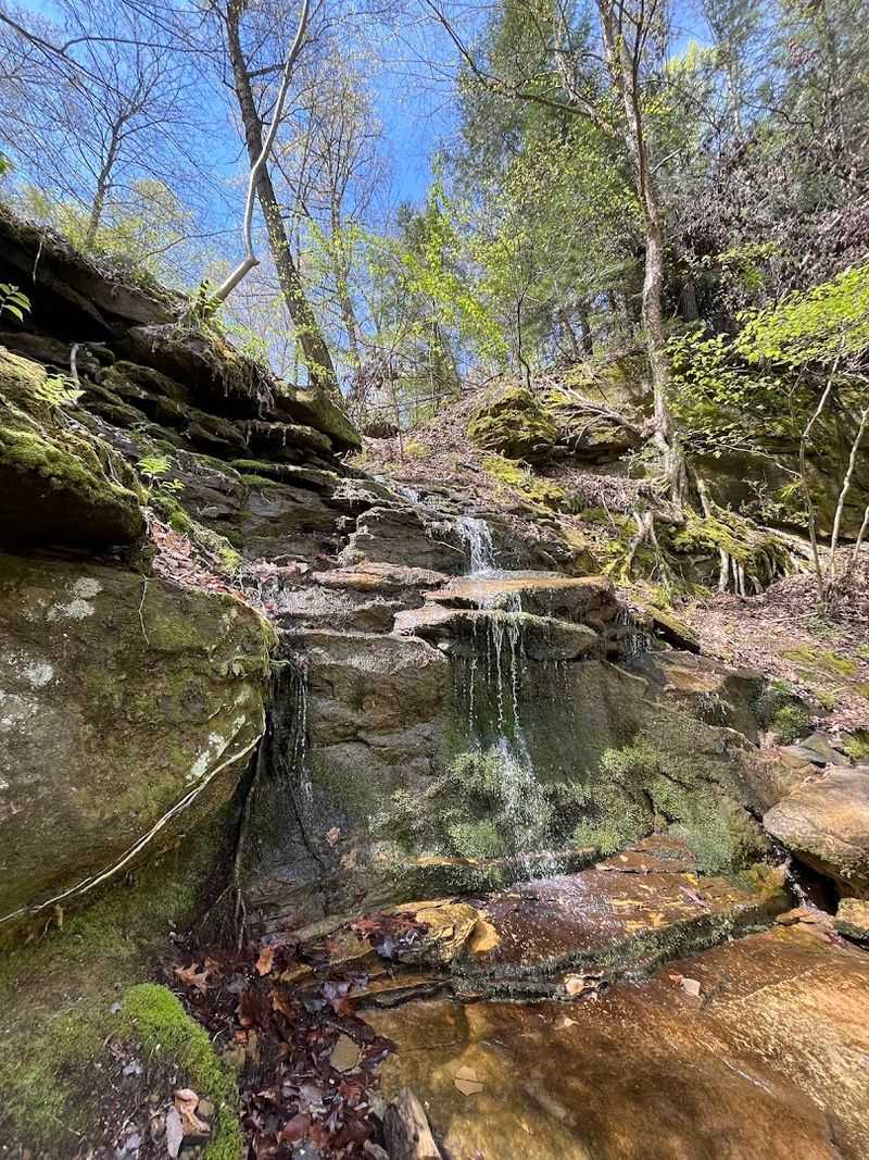 Blackhand Gorge State Nature Preserve, Newark, OH