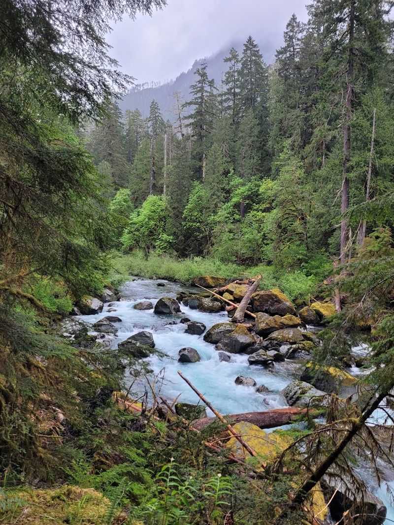 Staircase Rapids Loop, Olympic National Park