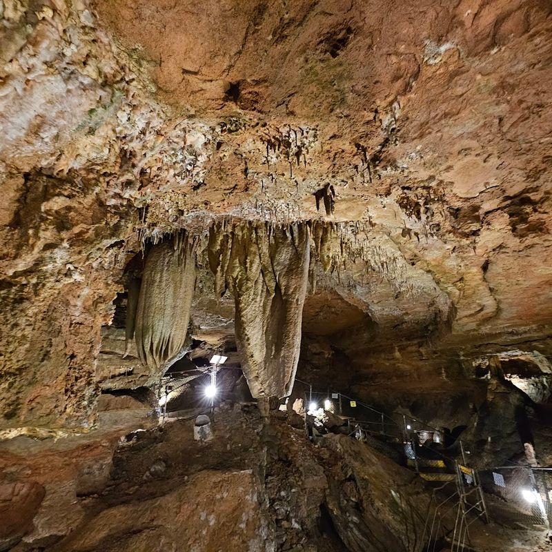 Narrow Guided Walkways Winding Through Illuminated Chambers