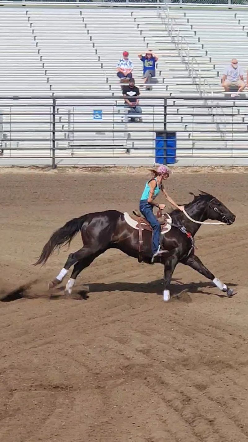 Stampede Rodeo, Polka Fest, And A Packed Events Calendar