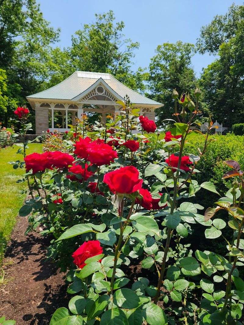 Fellows Riverside Gardens, Youngstown, OH