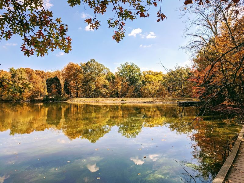Cincinnati Nature Center, Rowe Woods, Milford, Ohio
