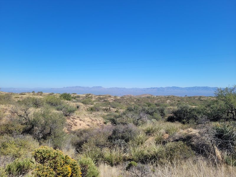 Star Parties, Concerts, and Telescope Nights