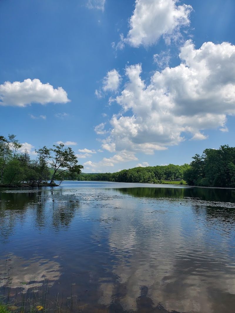 Stargazing And Astronomy Events At Hopewell Furnace