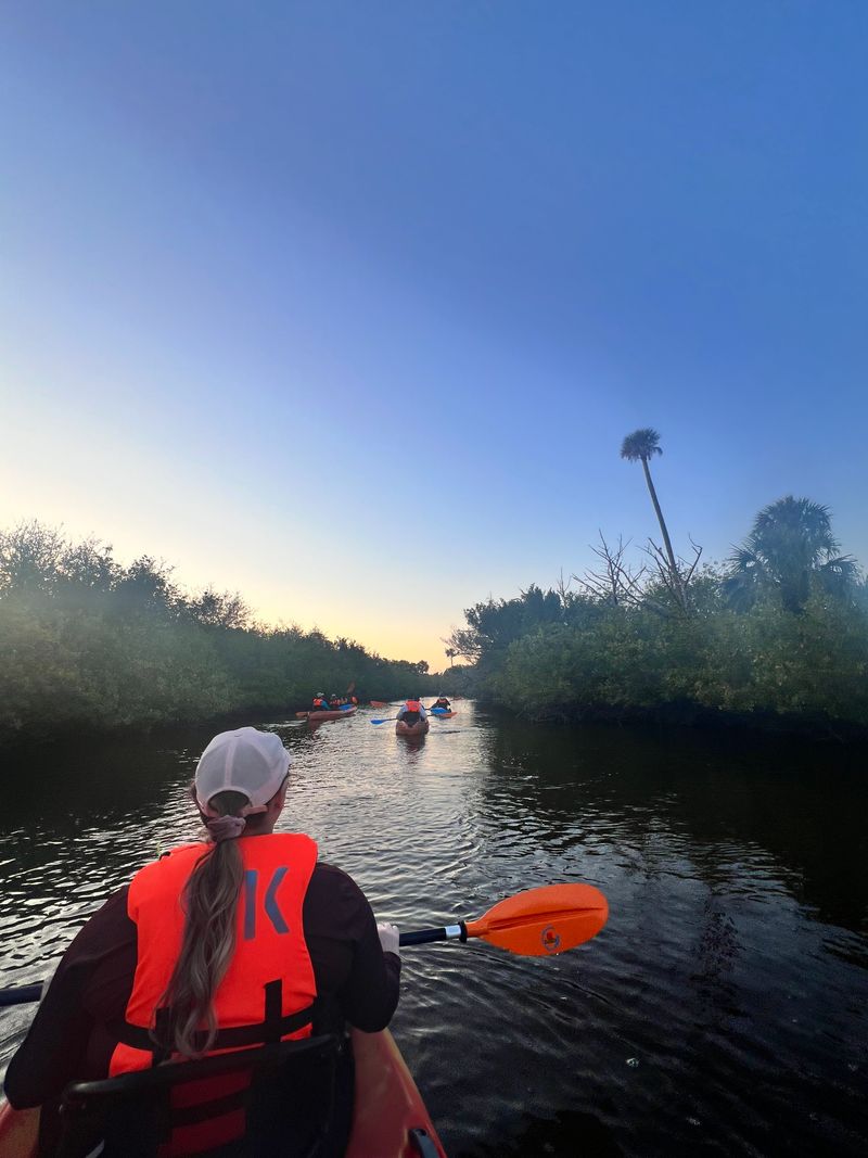Bioluminescent Kayaking Adventure On The Space Coast