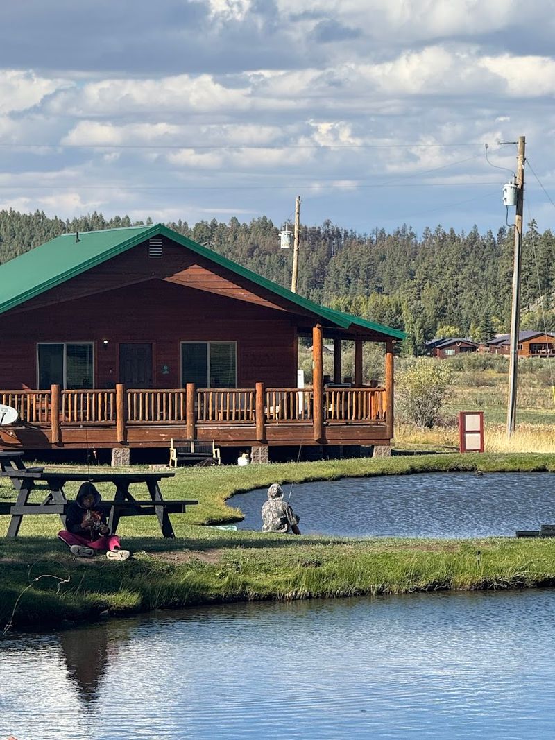 Stargazing, Campfires, And The Quiet Magic 