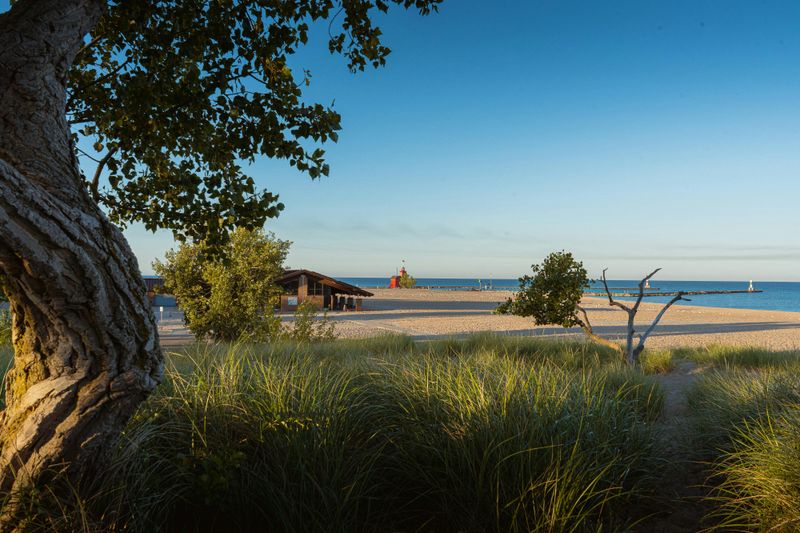 Logistics That Keep Days Smooth