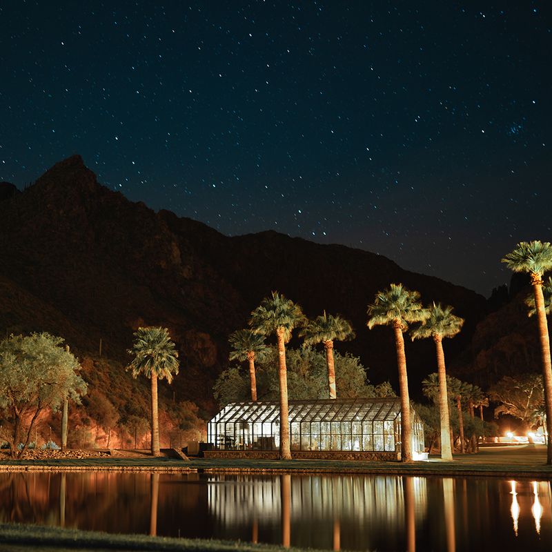 Starlight Soaking After Dark