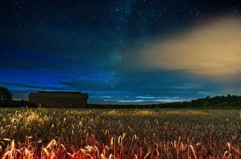 Stars Above The Quiet Farm