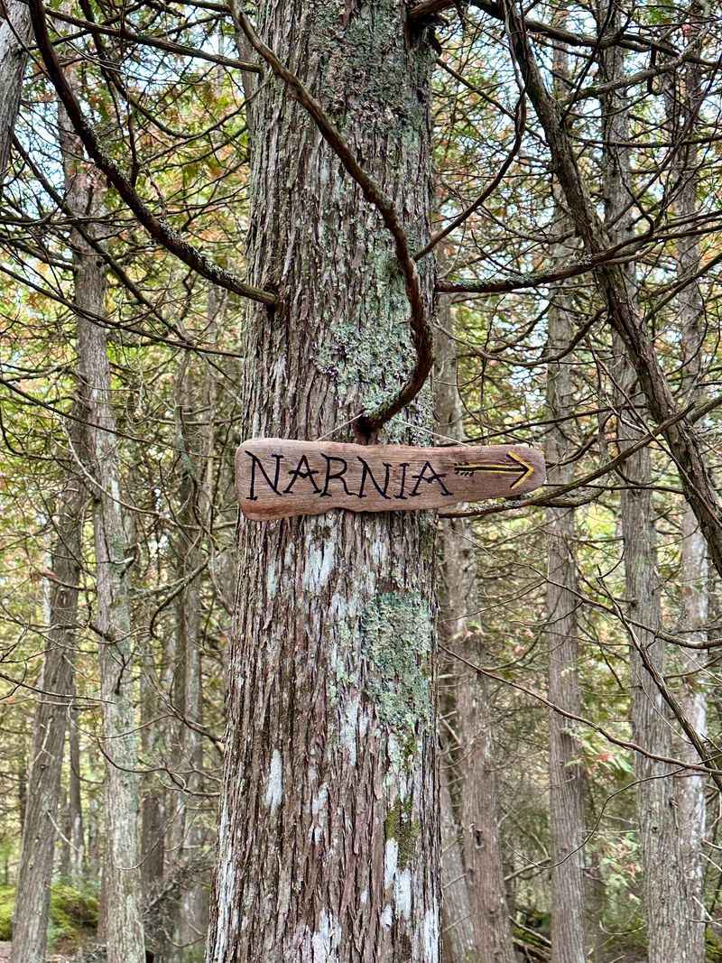 Follow The Orange Tags Without Rushing