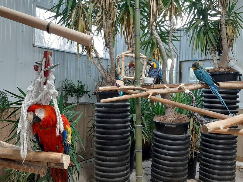 A Sanctuary Of Fur, Scales, And Feathers
