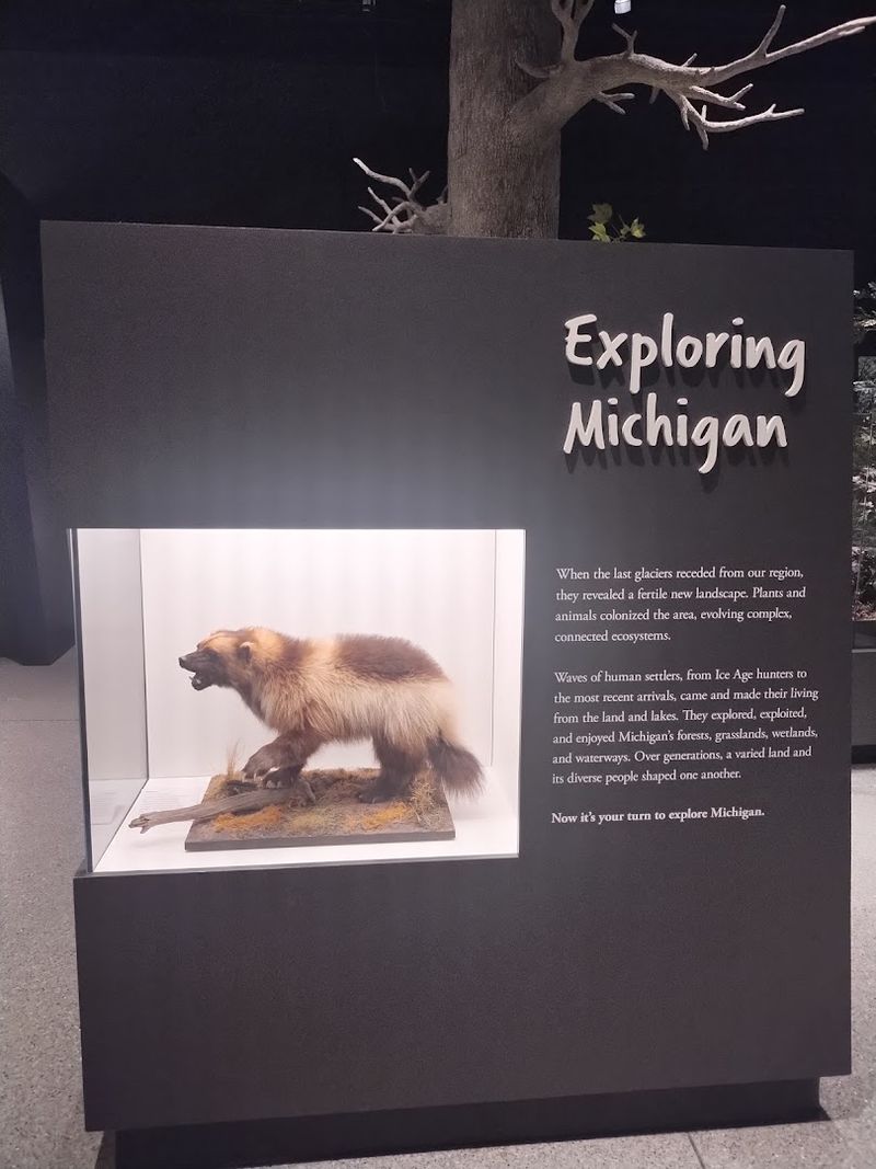 Start With Michigan Rather Than The Dinosaurs