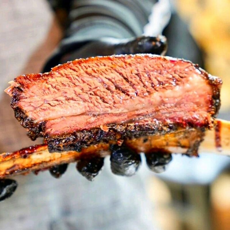 Chase The Dino Rib Day