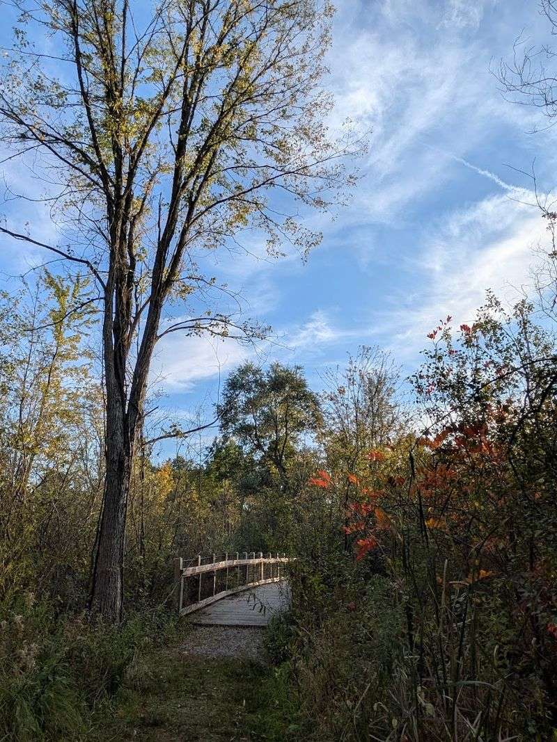 Start With The Prairie Meadows Nature Trail