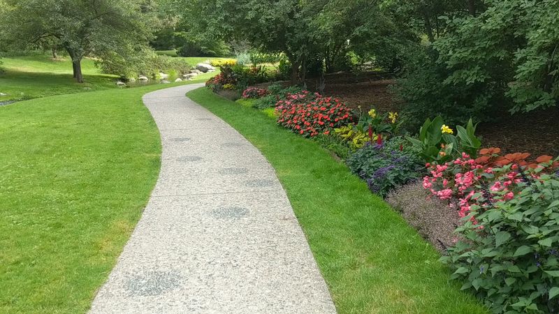 Start With The Scale, Not The Flowers