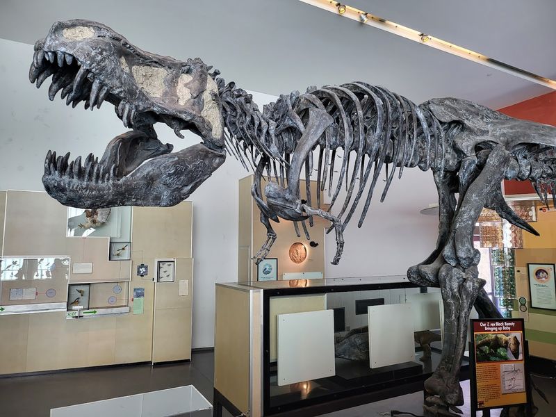 Start With The T. Rex, Then Slow Down