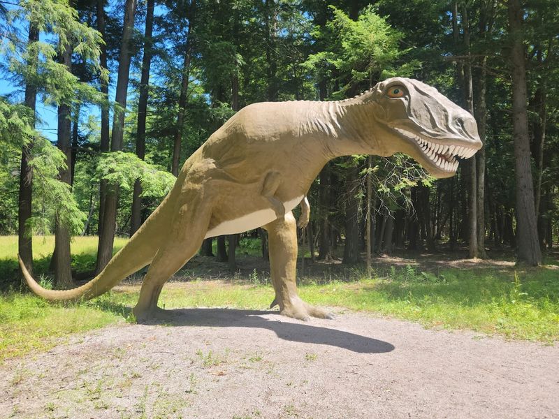 Prehistoric Walk In The Pine Barrens