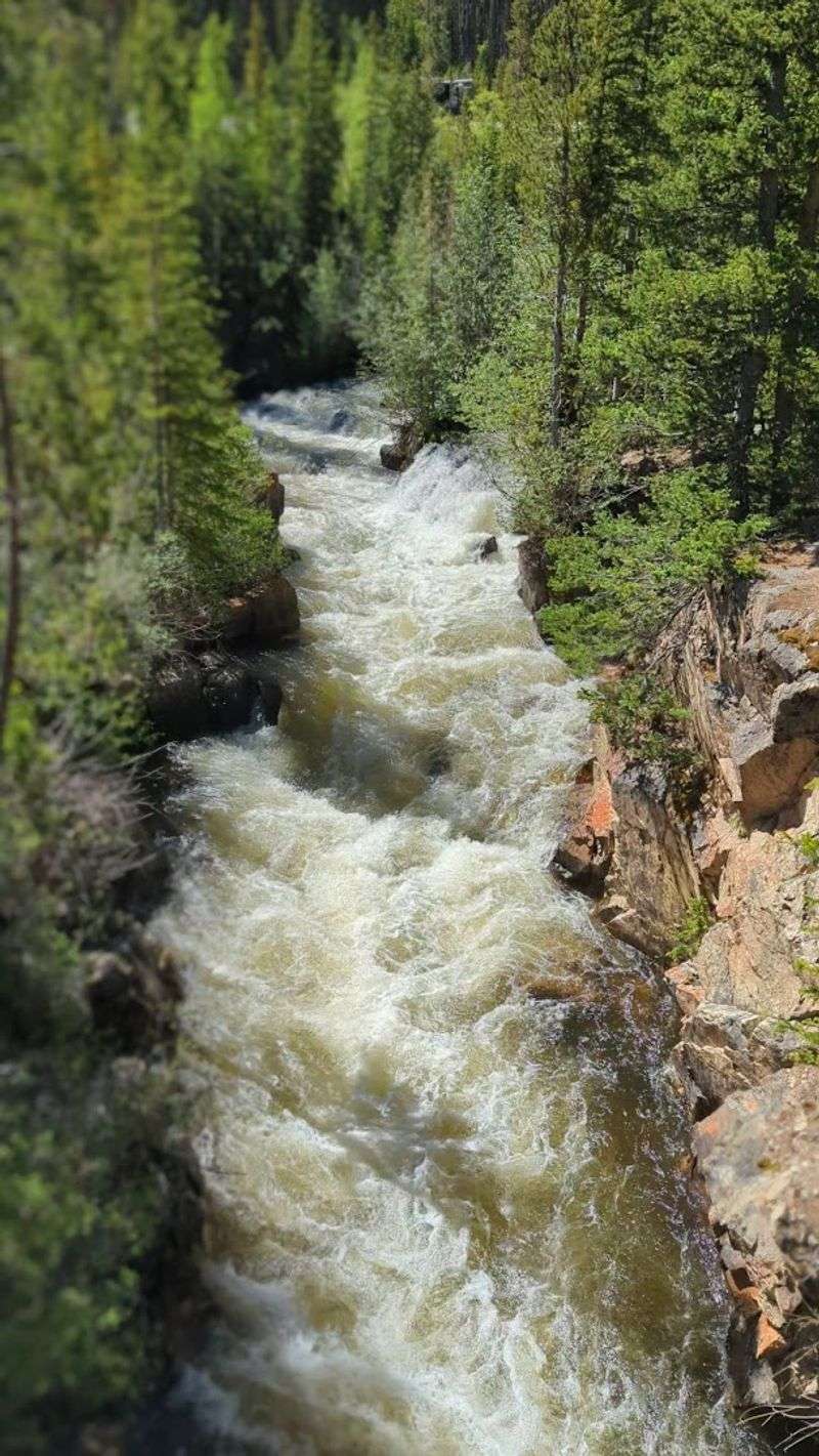 State Forest State Park - Walden/Gould