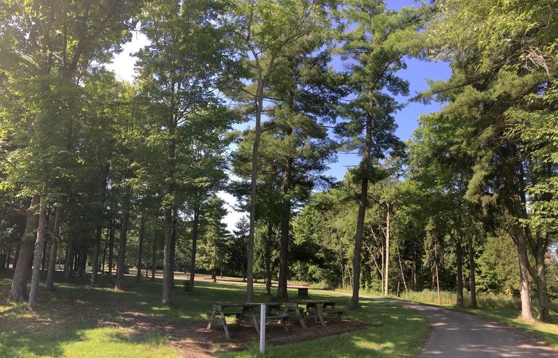 State Park Rules Protect Every Slithering Resident