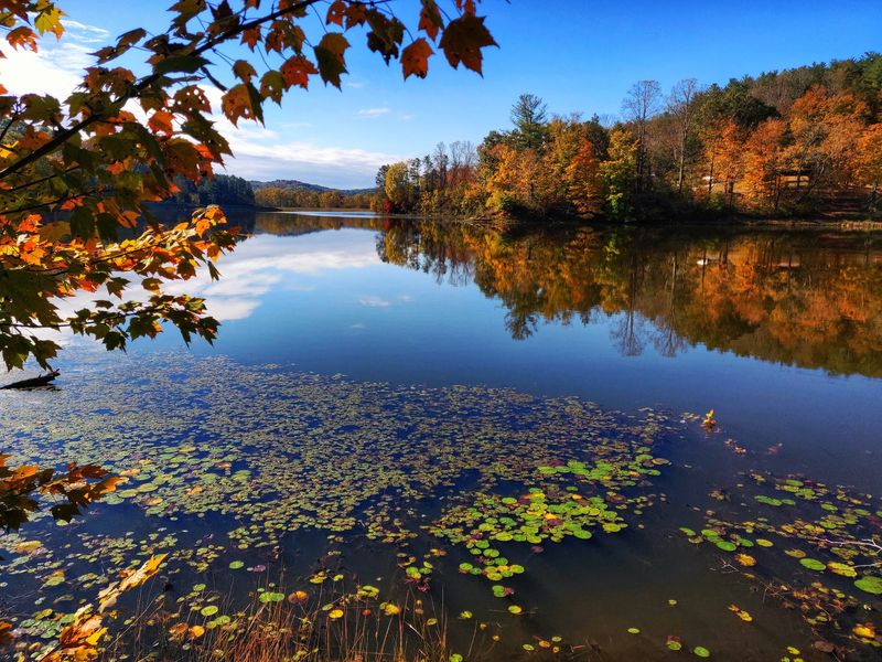 State Route 278, Lake Hope And Zaleski State Forest State Route 278, Lake Hope And Zaleski State Forest