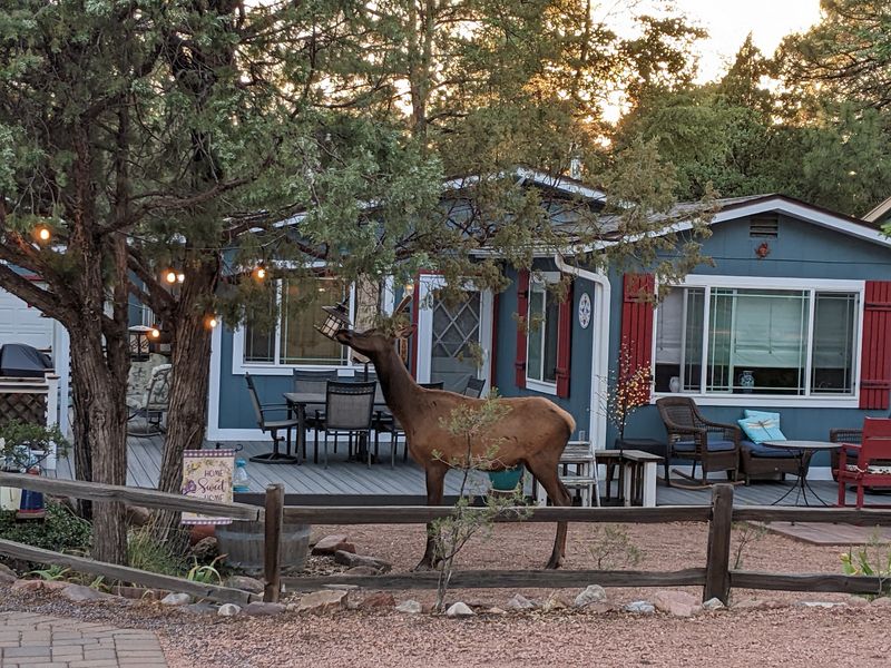 State Route 87, Phoenix To Payson, Arizona