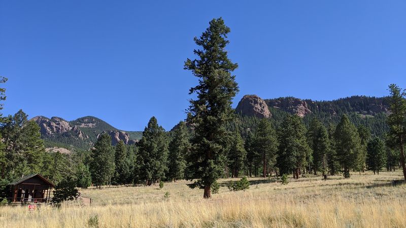 Staunton State Park — Pine