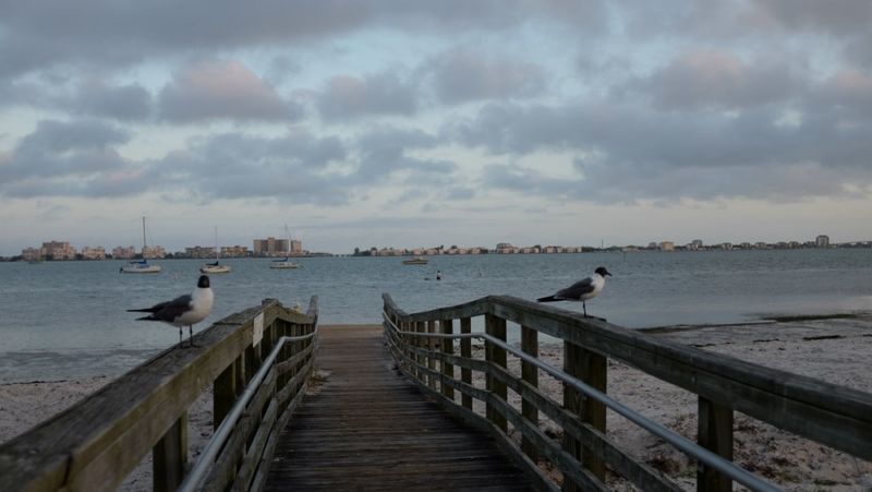 Wind Down At The Waterfront And Watch The Light Show