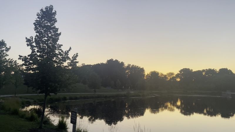 Stay Late Enough To See The Park Glow