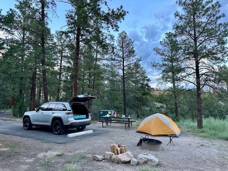 Stay The Night Under Pines At Juniper Campground