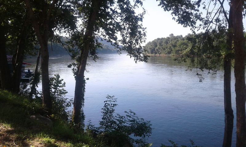 Building Confidence Step By Step