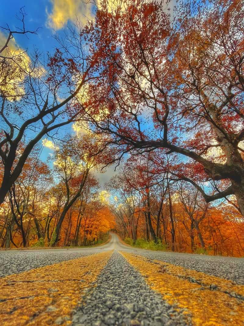 The Pere Marquette Cliffs And Eagle Airshows