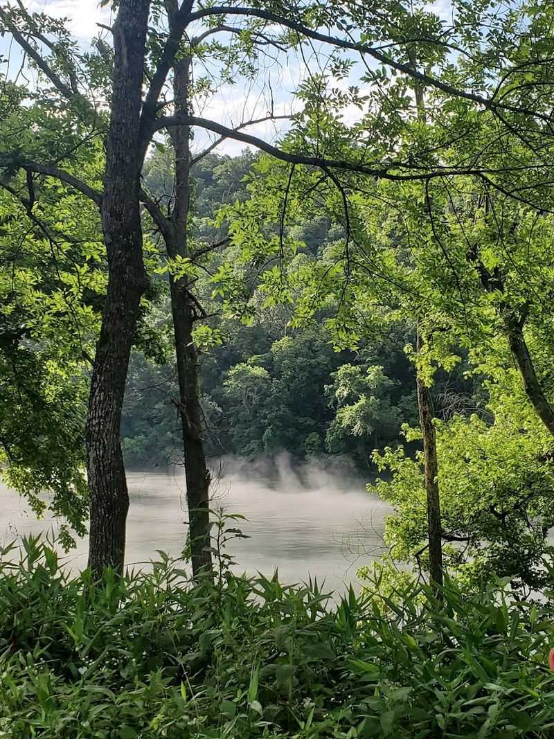 Early Morning Mist Rising Over Gravel Shoals