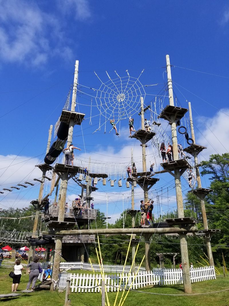 Steam Trains And Treetop Thrills