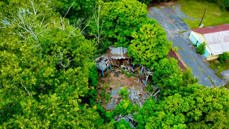 The Carousel Featured Hand-Carved Wooden Horses