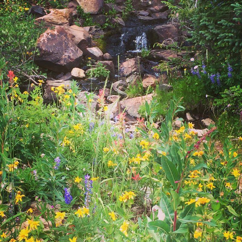 Steamboat Springs