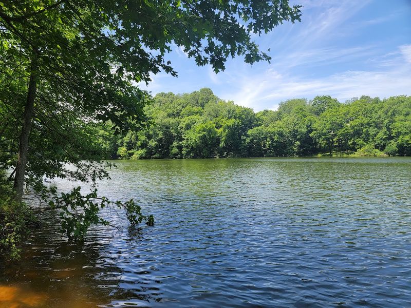 Stunning Views Through The Ozark National Forest