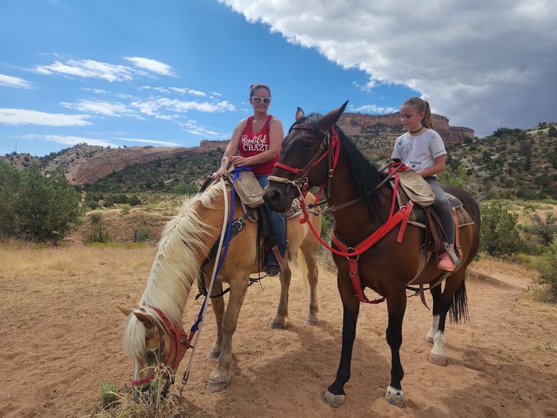 Steer Wrestling Pits Raw Strength Against Pure Momentum