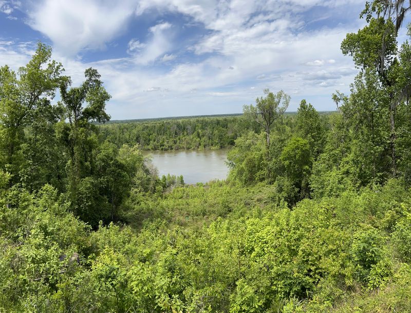 Torreya State Park - Bristol