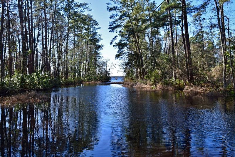 Step Inside Historic Group Camps With Deep Roots