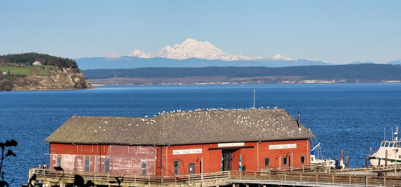 Step Into Small-Town History In Coupeville Step Into Small-Town History In Coupeville