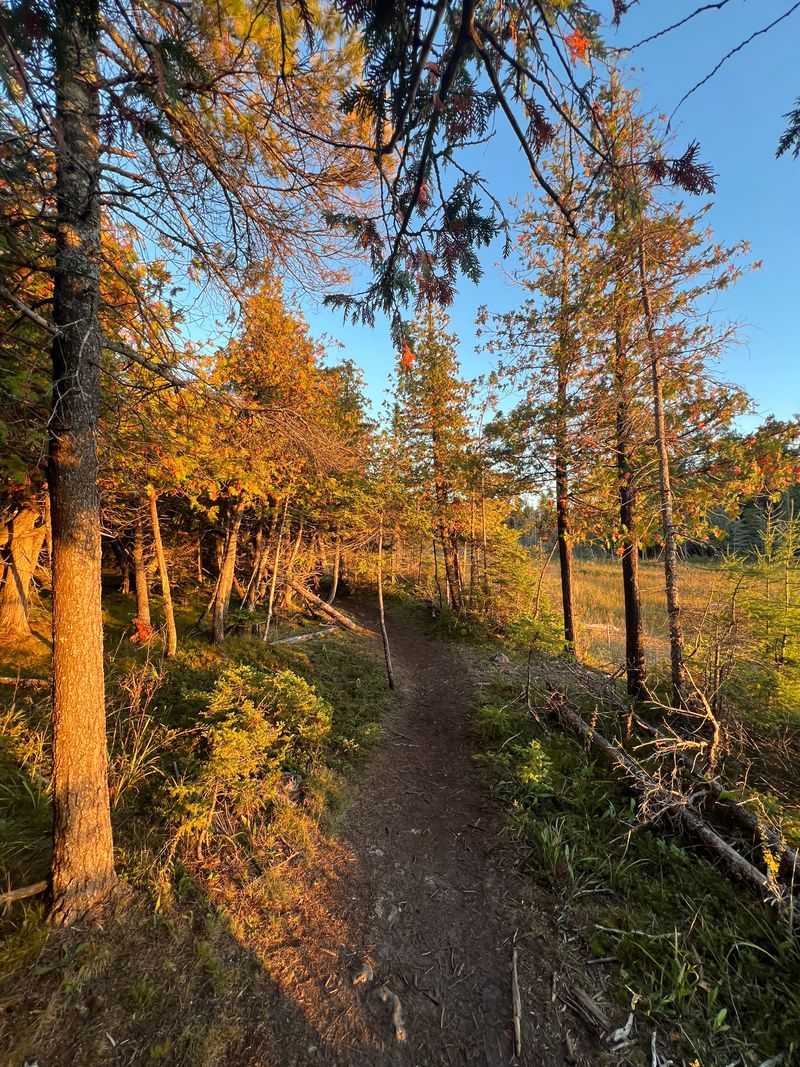 Plan For Sound And Silence