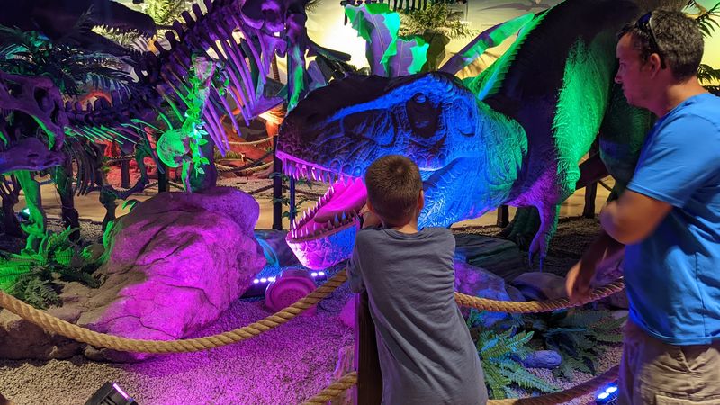 Junior Paleontologist On Duty: The Dinosaur Excavation Activity