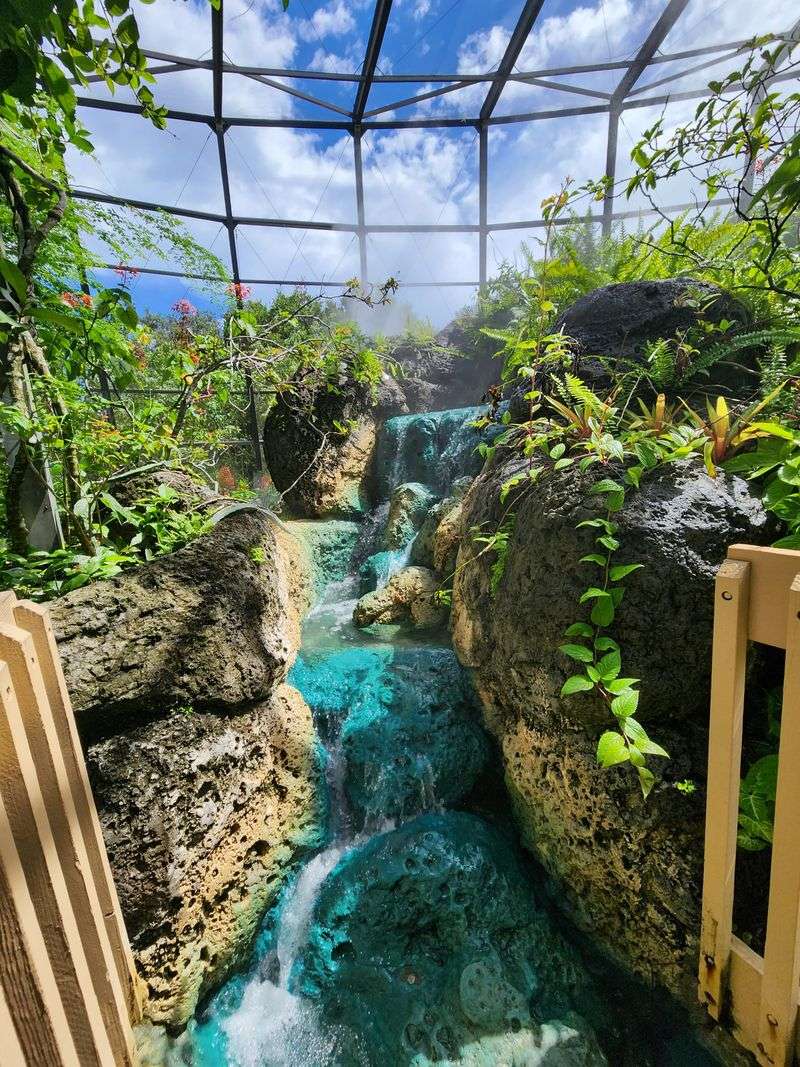 Color Under Glass: Tropical Gardens