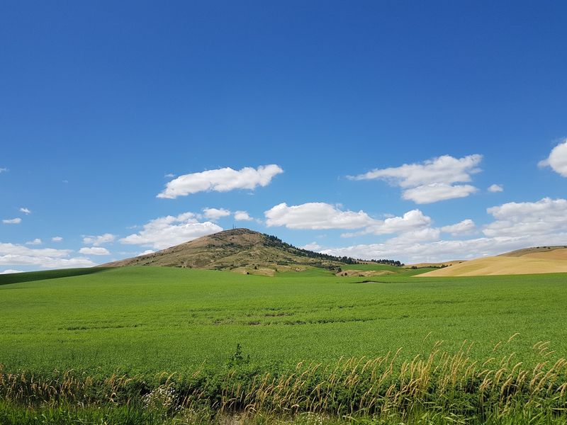 Steptoe Butte State Park Heritage Site