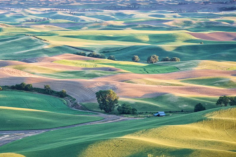 Steptoe Butte State Park, Steptoe, Washington Steptoe Butte State Park, Steptoe, Washington