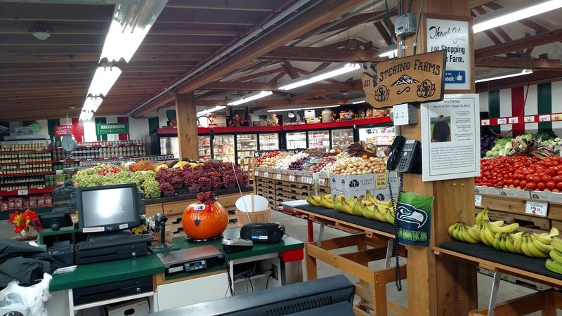 Sterino Farms: A Century of Freshness