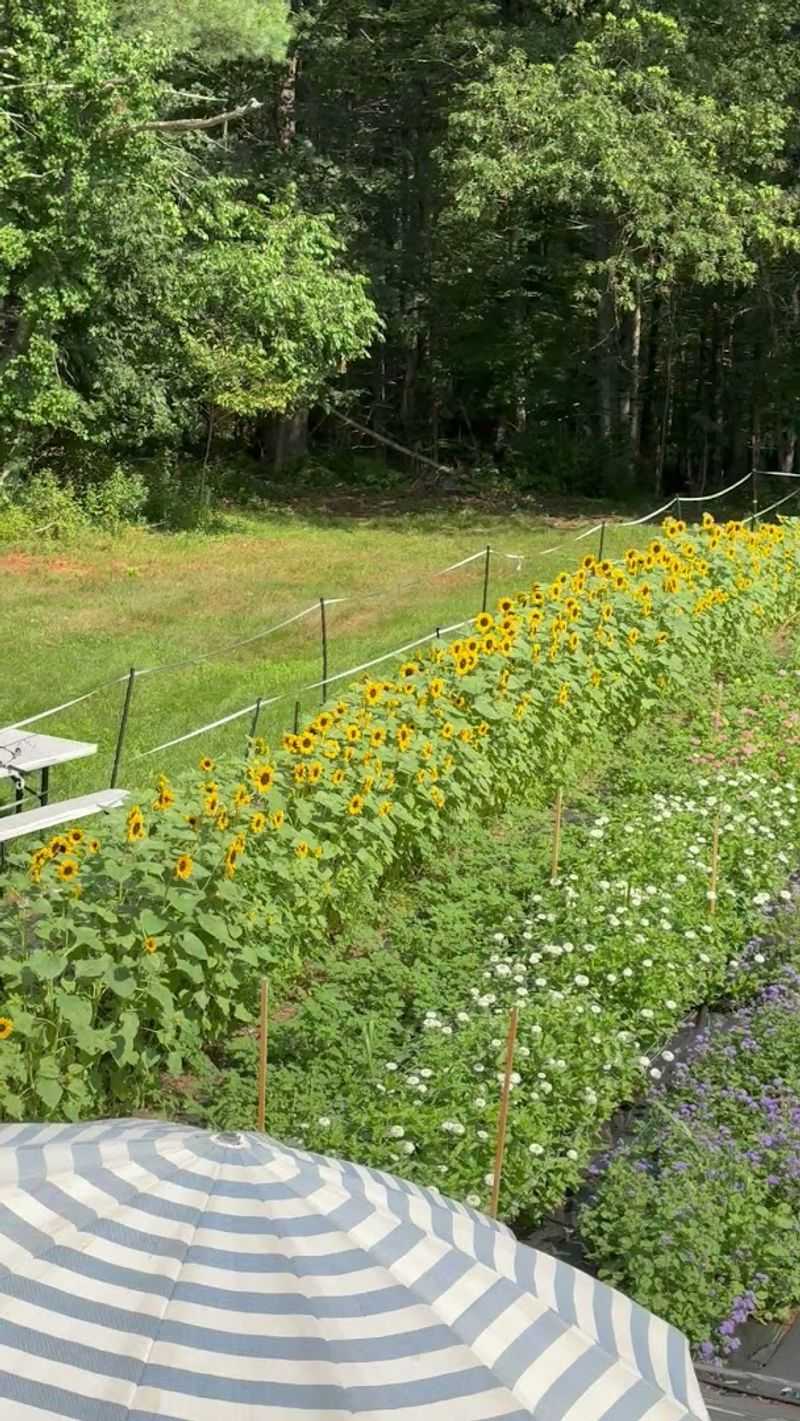Sterling Flower Farm