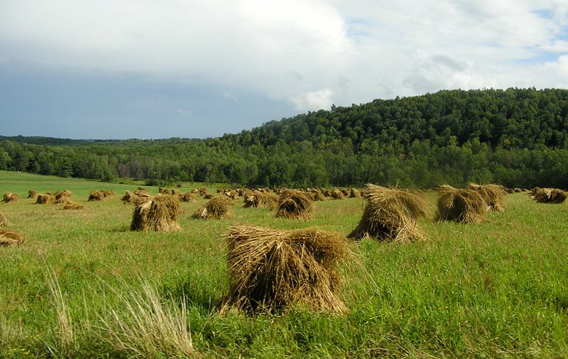 Steuben County
